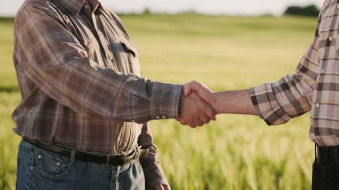两个农民正在见面和握手。他们站在田野旁边。相机聚焦在他们的手上。阳光明媚。4K