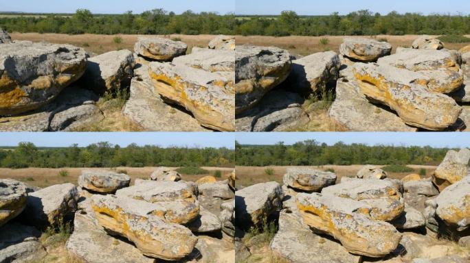 世界著名纪念碑的巨石和古代人民的圣地Kamyana Mohyla或乌克兰历史保护区的石墓。用岩画装饰