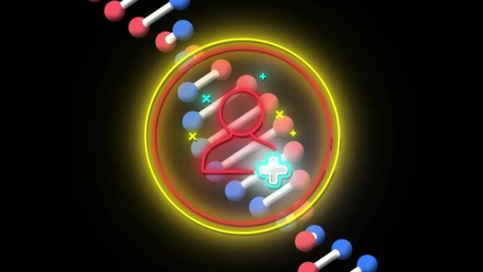 黑色背景上旋转的脱氧核糖核酸链上闪烁的红色人物图标的动画