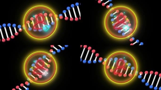 黑色背景上旋转的脱氧核糖核酸链上闪烁的红色人物图标的动画