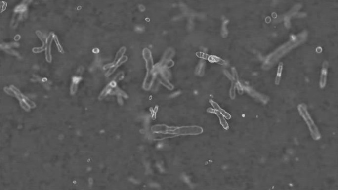 染色体是通过高变焦电子显微镜拍摄的。3d渲染电视概念