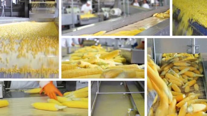 食品工业中的玉米加工，多筛网