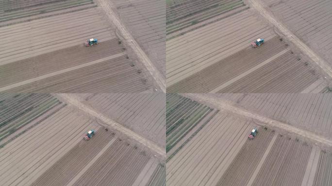 在现场安装灌溉系统。拖拉机在野外作业的航拍画面。种植胡萝卜