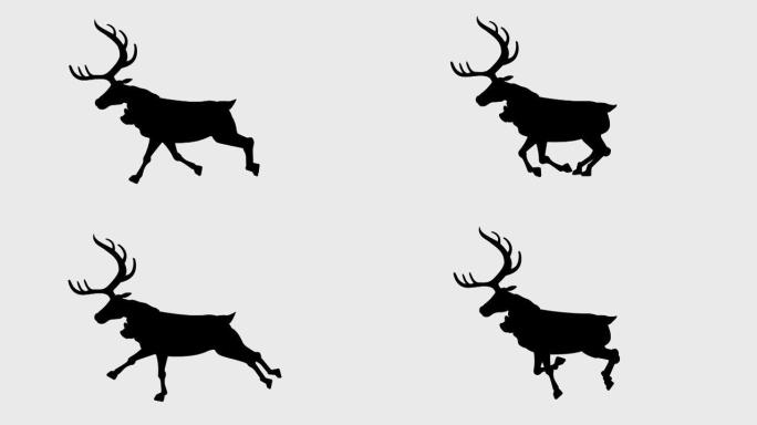 运行驯鹿插图循环动画 (4k分辨率，背景透明)