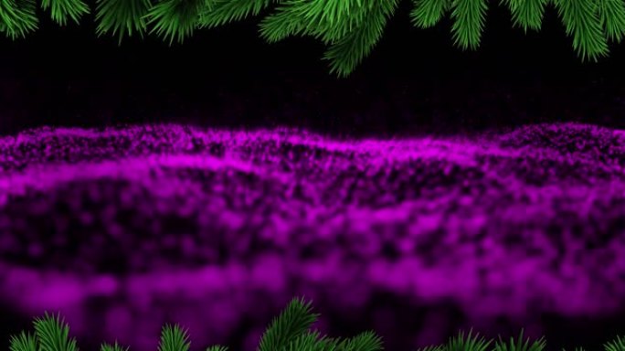 黑色背景下紫色数字波浪上的圣诞树树枝
