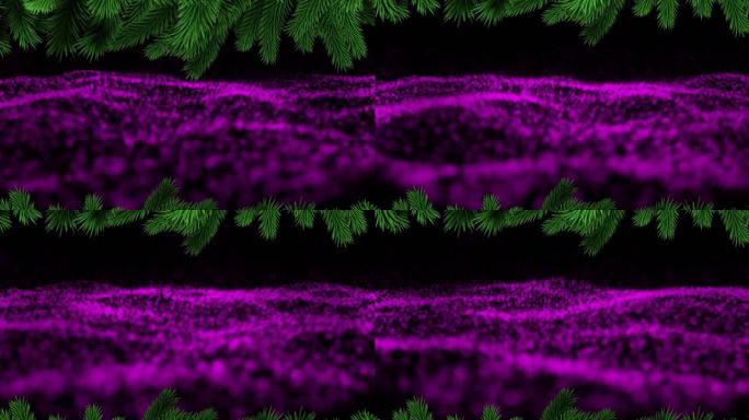 黑色背景下紫色数字波浪上的圣诞树树枝