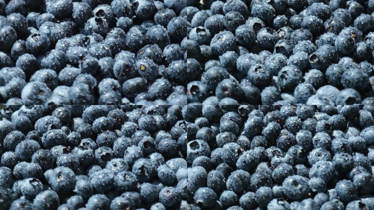 新鲜蓝莓背景在慢动作中旋转。蓝莓抗氧化有机超级食品在碗概念健康饮食和营养。收获概念