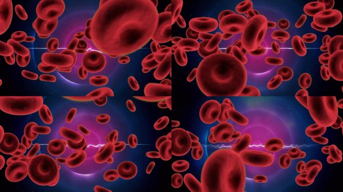 紫色圆圈上的血细胞动画
