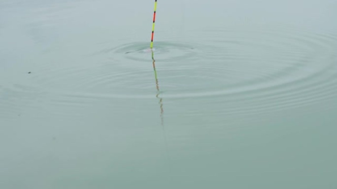 夏季钓鱼漂浮在水中的鱼竿