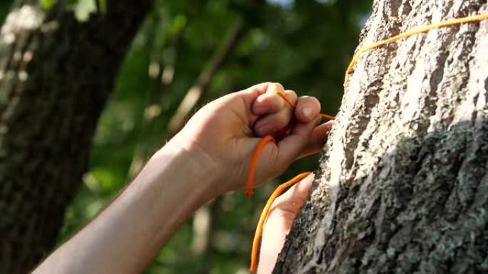 游客的手在树上绑上一条橙色的细绳