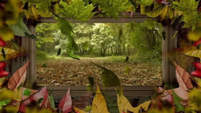 树叶框架中森林和落叶的动画
