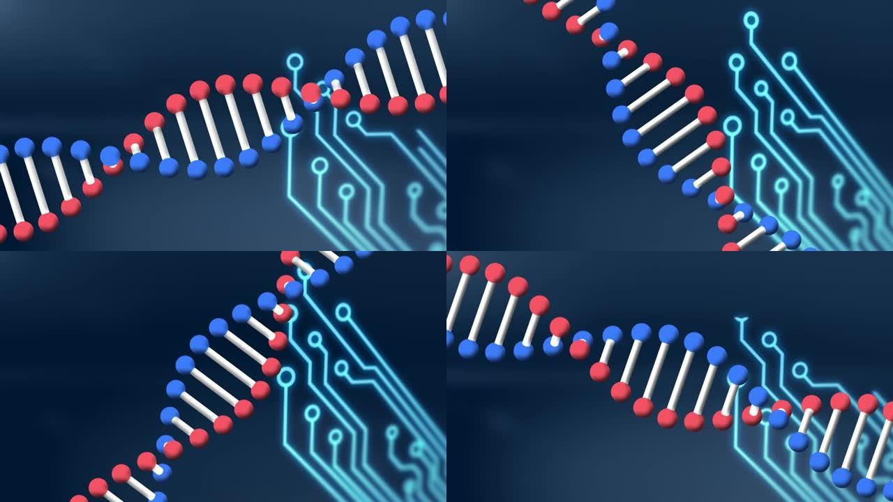 在计算机电路板上旋转dna链的动画