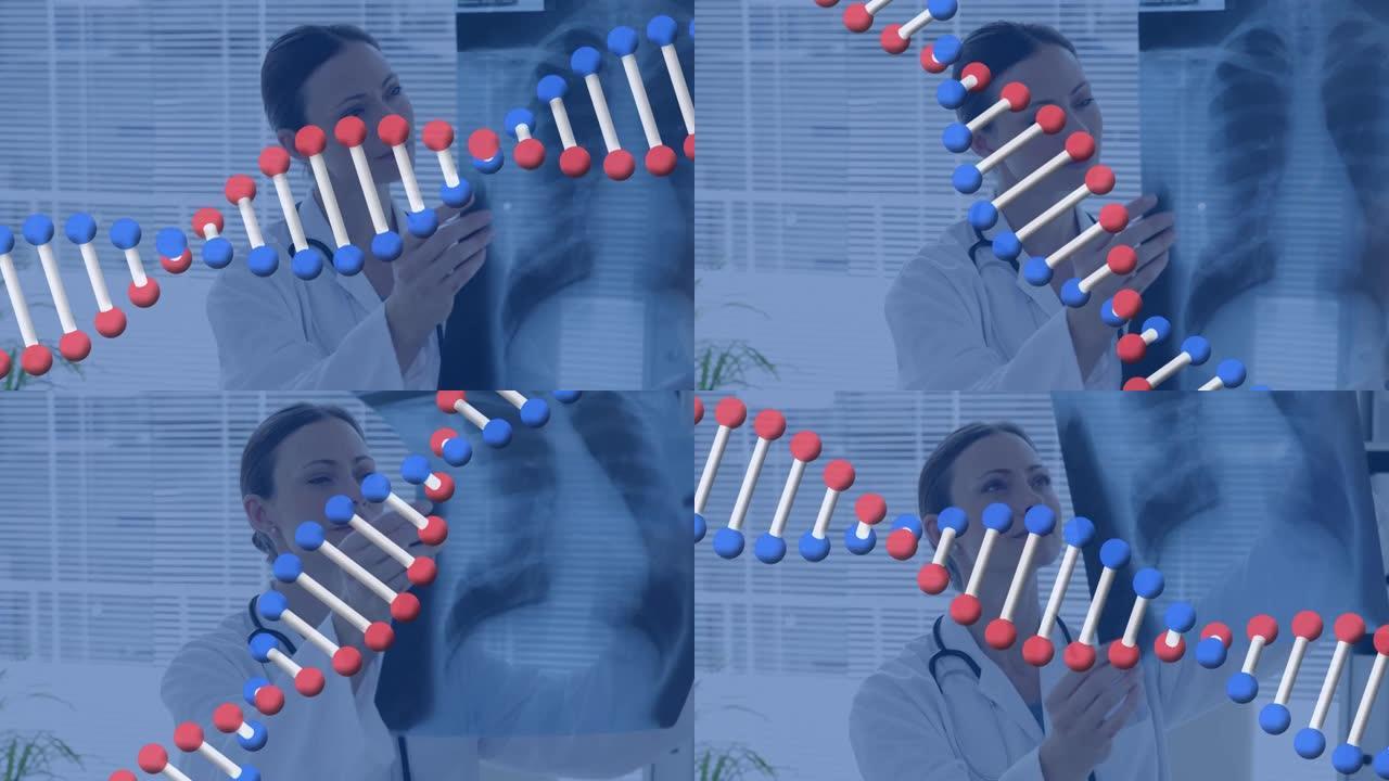 持有x射线的高加索女医生的dna链动画