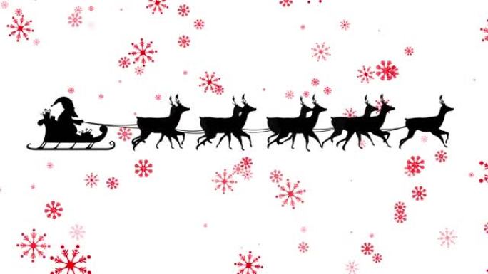 圣诞老人在雪橇上的动画，驯鹿在白色背景上的雪花上