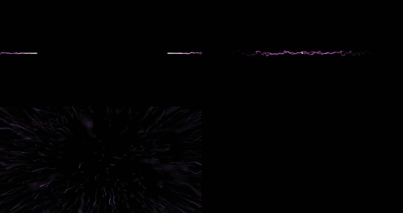 黑色背景上爆炸紫色烟花的动画