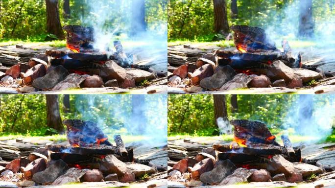 一个非常漂亮的篝火扑灭森林树木的特写镜头