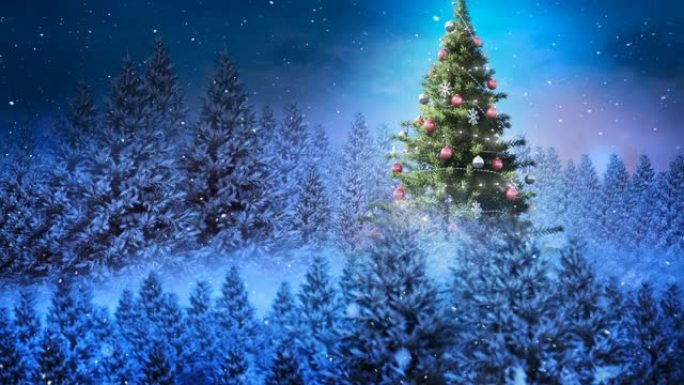 雪花落在圣诞树上的动画，冬日风景中的枞树