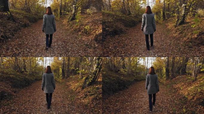 女人在森林小径上的秋叶上行走。后视图。
