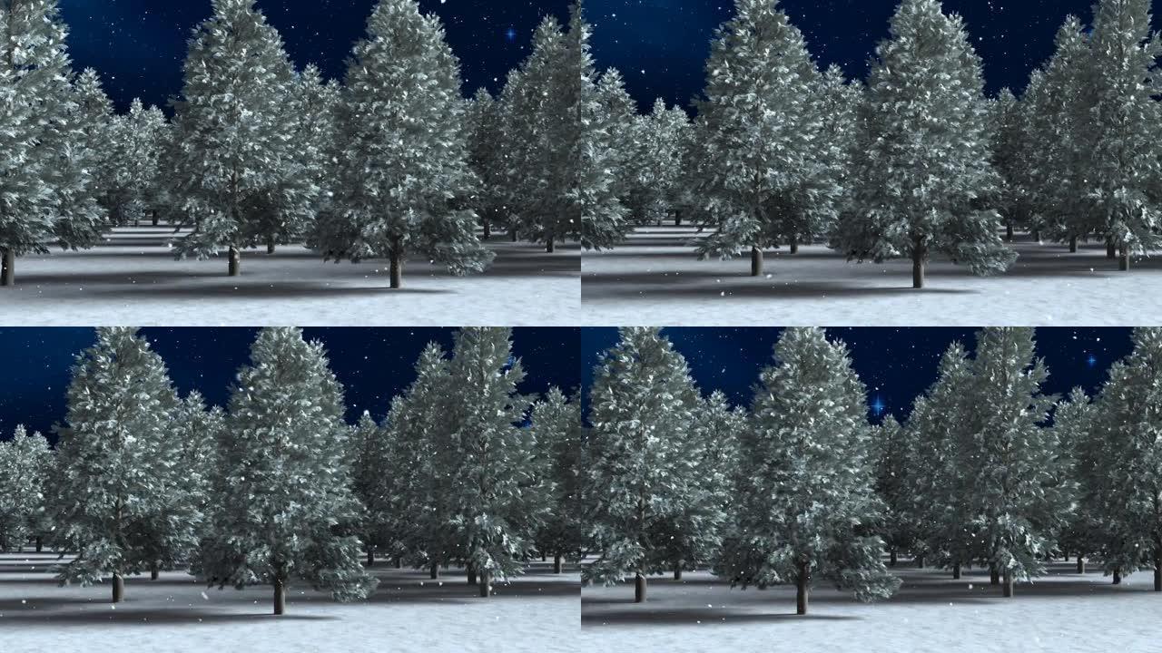 雪落在蓝色背景下的冬季景观上的多棵树上