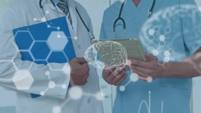 使用平板电脑对医生进行数据处理，数字人脑模型和分子的动画