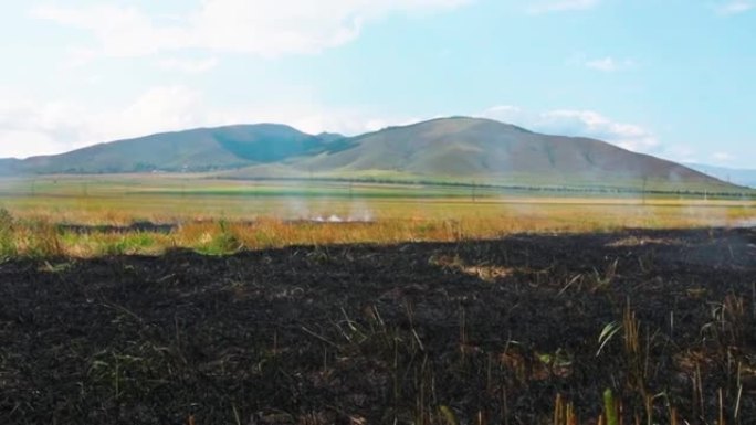 亚美尼亚户外耕种的农作物中黑色燃烧的稻草
