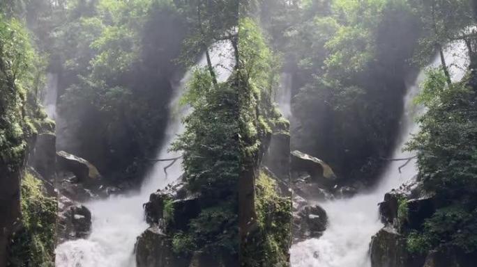 强大的垂直瀑布绿色植物水湾水造型