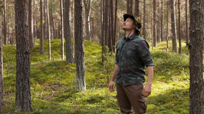林业-从事森林调查和管理的林务员。可持续发展