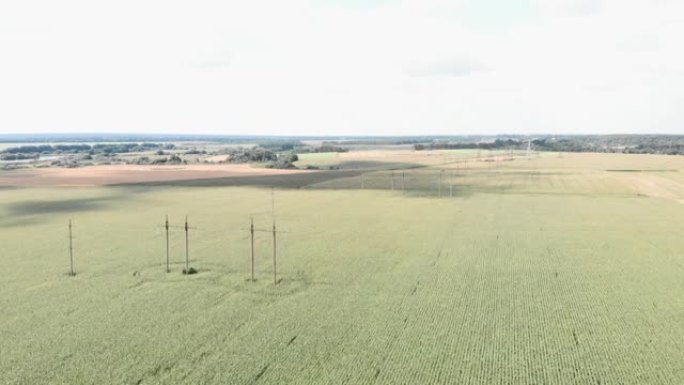 农村的电塔。田里的电线。电力传输塔在绿色农业领域