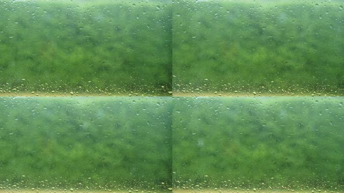 雨季窗户玻璃上的水滴特写，落空的雨水落在绿色自然背景上