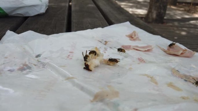 一群黄蜂在一块梨和火腿上肆虐的视频