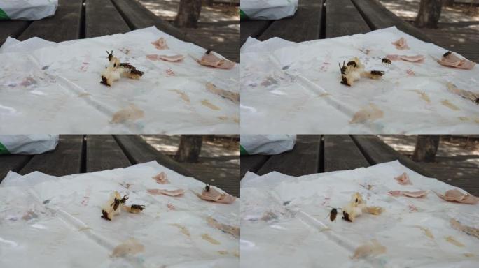 一群黄蜂在一块梨和火腿上肆虐的视频