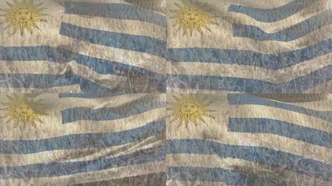 乌拉圭国旗吹过麦田的动画