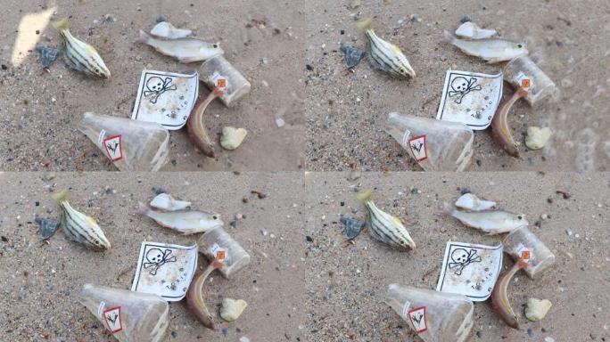 危险化学品造成的死鱼