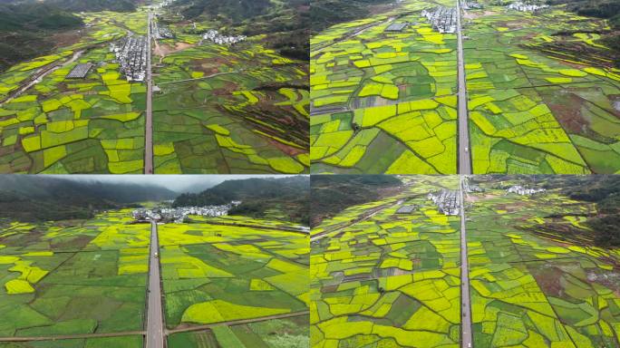 婺源油菜花田园公路风光鸟瞰航拍