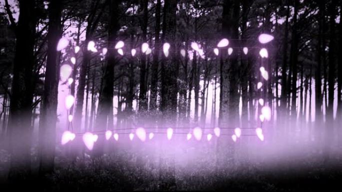 紫色发光装饰仙女灯对着森林中的多棵树