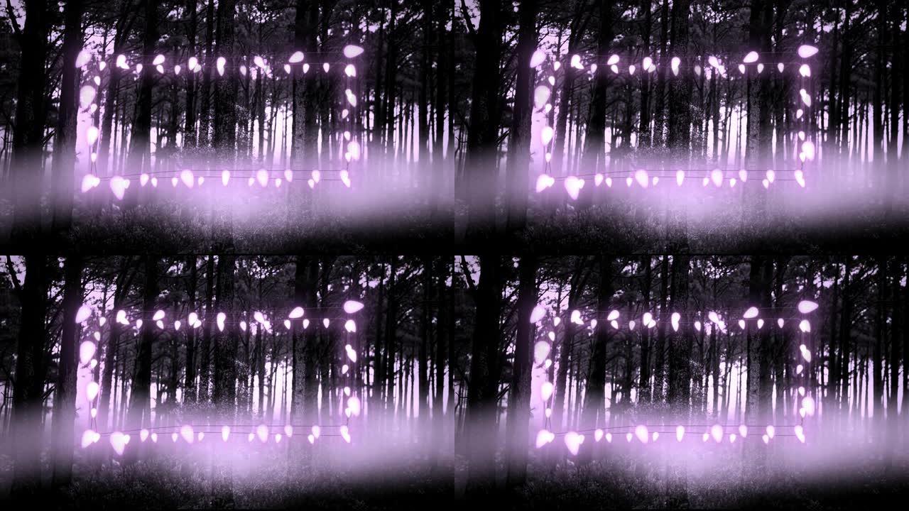 紫色发光装饰仙女灯对着森林中的多棵树