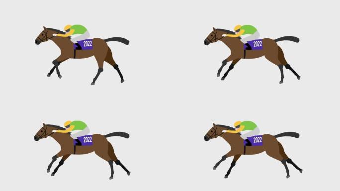 赛马和骑师插图循环动画(4K分辨率，背景透明)