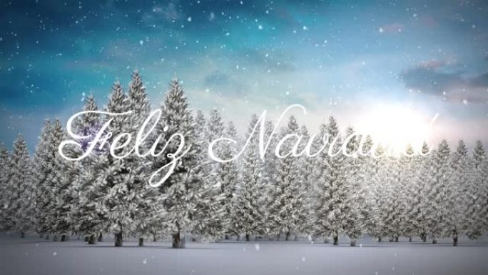 费利克斯·纳维达德 (felix navidad) 在冬季风景中的圣诞节问候动画