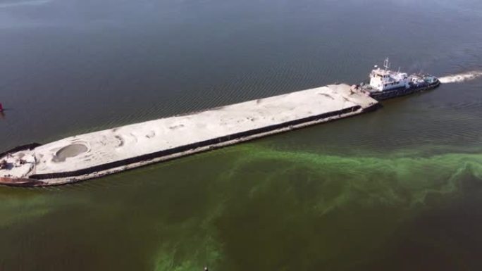 盛开的蓝绿藻-蓝细菌造成的水污染是世界环境问题。水体、河流和湖泊有有害藻华。污染自然的生态学概念。