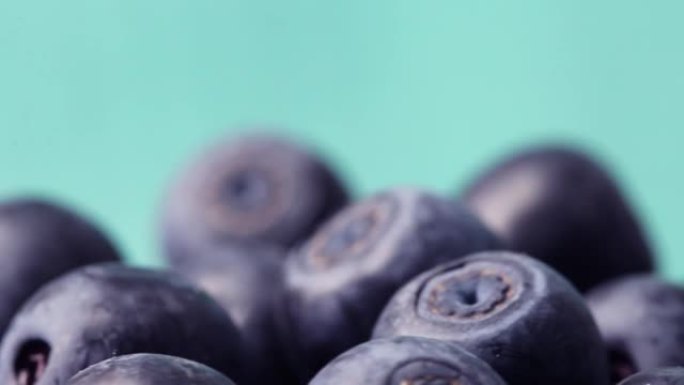成熟的野生蓝莓在绿色背景的转盘上旋转，特写镜头。
