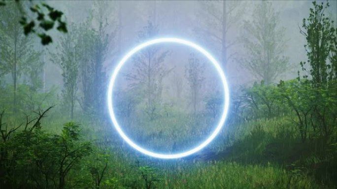 在多雨的雾气森林中发光的蓝色圆圈光