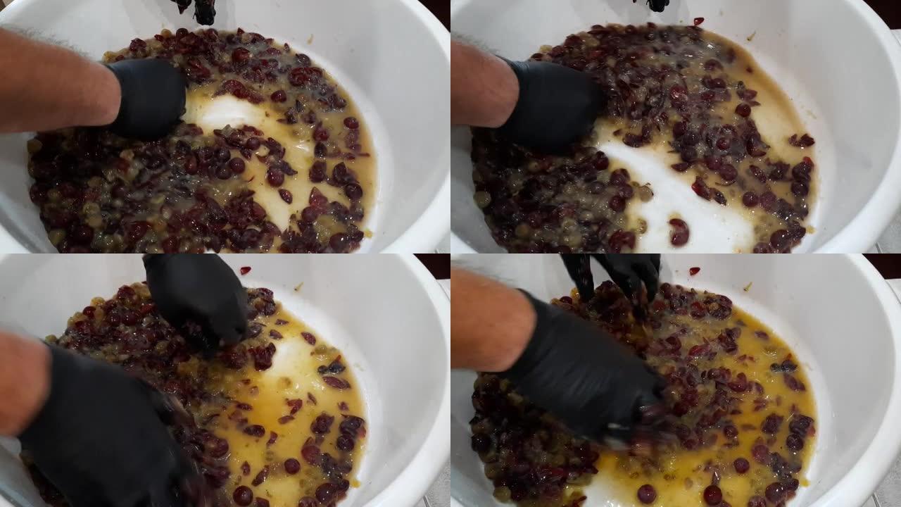 自制葡萄酒的制作过程。雄性手从葡萄浆果中榨汁。