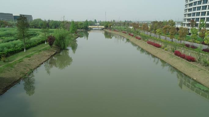 上海河景绿化 山清水秀 美丽家园