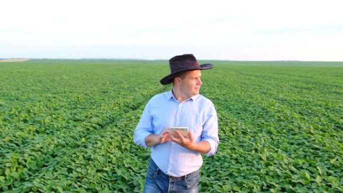 农业综合企业-使用片剂，绿色大豆田检查大豆的生长