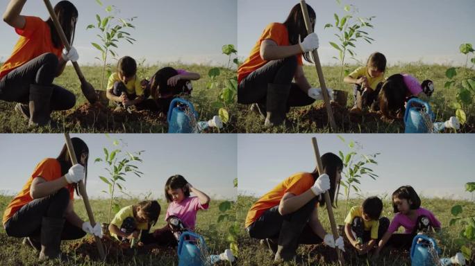 年轻的女人和女孩在晚上种树。