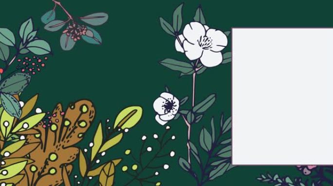绿色背景上有植物和花朵的复制空间的圣诞贺卡动画