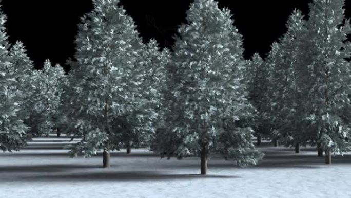 黑白雪域森林的动画