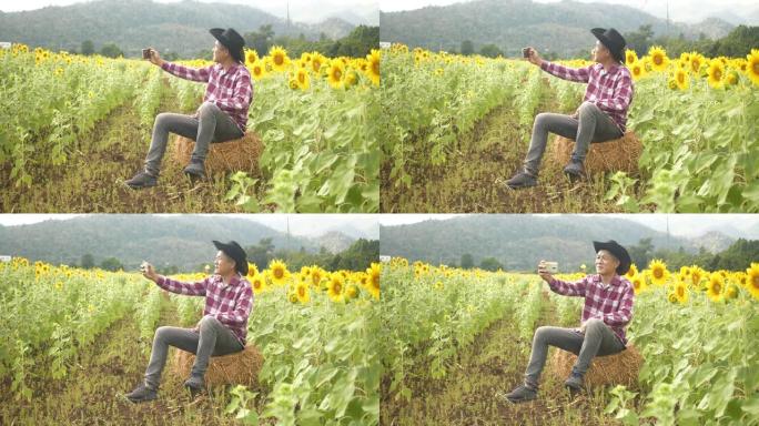 亚洲农民老板小企业在向日葵种植园检查向日葵树。使用智能手机的农民