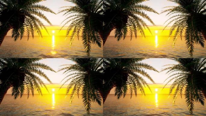 在柔和的夏日微风中吹拂的棕榈树之间，太阳在海洋地平线上落山，可循环