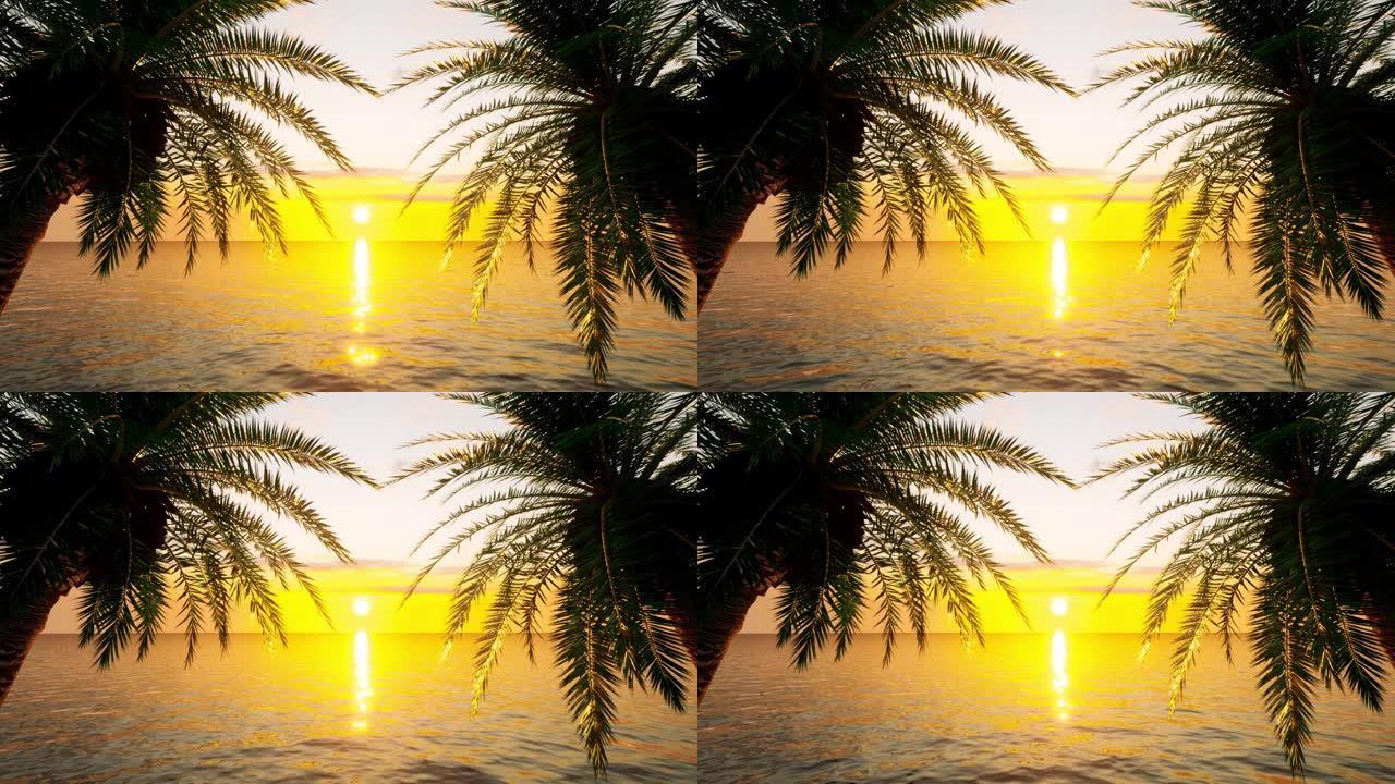 在柔和的夏日微风中吹拂的棕榈树之间，太阳在海洋地平线上落山，可循环